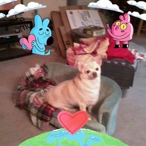 Meet your Posher, Nancy